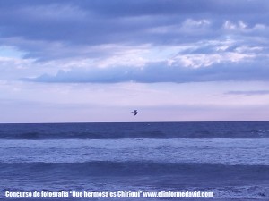 Playa La Barqueta